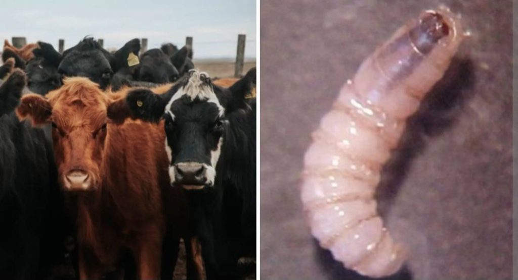 622380401_1375963814543269_1291383860191096929_n