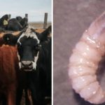 622380401_1375963814543269_1291383860191096929_n