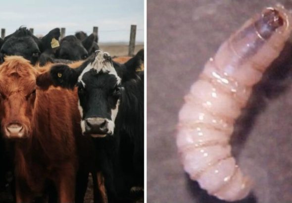 622380401_1375963814543269_1291383860191096929_n